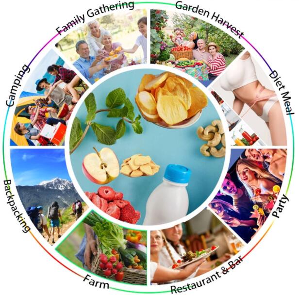 food lyophilizer