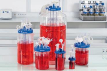 batch glass reactor in biology