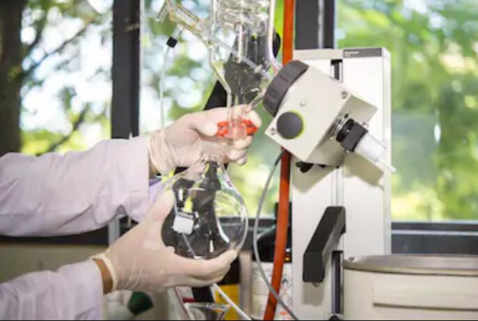 rotary film evaporator for producing food